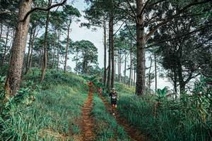 BIB: 
                            <button type="button" onclick="openModal(25652335)" class="btn btn-primary btn-sm float-right btn-popup" data-toggle="modal" data-target=".modal-high-quality">
                        <i class="fas fa-shopping-cart"></i> Add to Cart
                    </button>
                                            <button type="button" onclick="isThisMe(25652335, true)" class="btn btn-success btn-sm float-right btn-popup btn-isme hidden" data-toggle="tooltip" data-placement="bottom" title="นี่คือรูปของคุณใช่ไหม คลิกที่นี่เพื่อเอาเข้าอัลบั้ม">
                        <i class="fas fa-plus"></i> Add to album
                    </button>
                    <button type="button" onclick="isThisMe(25652335, false)" class="btn btn-warning btn-sm float-right btn-popup btn-isnotme hidden">
                        <i class="fas fa-ban"></i> Remove from album
                    </button>